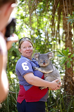 Tourist holding a koala at Bungalow Bay Koala Village, Horseshoe Bay, northcoast of Magnetic island, Great Barrier Reef Marine Park, UNESCO World Heritage Site, Queensland, Australia