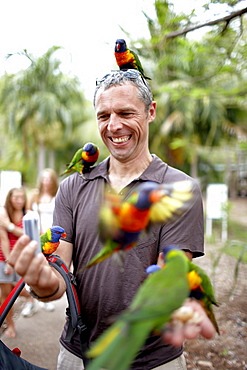 Tourist with Rainbow Lorikeets at Bungalow Bay Koala Village, Horseshoe Bay, northcoast of Magnetic island, Great Barrier Reef Marine Park, UNESCO World Heritage Site, Queensland, Australia