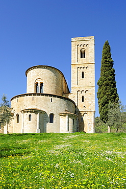 Romanesque convent San Antimo with olive trees and cypresses, San Antimo, Tuscany, Italy