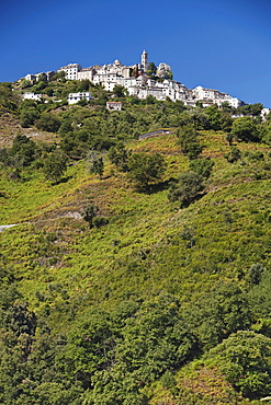 Loreto di Casinca, city view, Casinca, Corsica, France