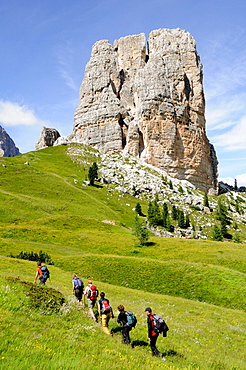 A group of hikers in a meadow in the mountains, Dolomiti ampezzane, Alto Adige, South Tyrol, Italy, Europe