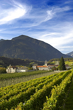 Vineyard and monastery under clouded sky, Vahrn, Brixen, Alto Adige, South Tyrol, Italy, Europe