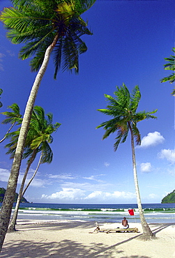 Man at palm beach looking at the sea, Maracas Bay, Trinidad, Caribbean, America