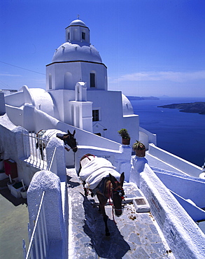 White church in the sunlight, Thira, Santorin, Greece, Europe