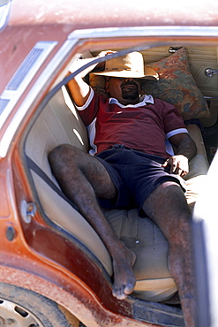 Boxer Lizard sleeping on backseat, Fred Brophy's Boxing Troupe, Simpson Desert, Queensland, Australia