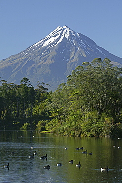 View of dormant volcano Mount Taranaki at Egmont National Park, North Island, New Zealand, Oceania