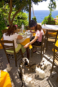 Restaurant in the medieval village Monemvasia, Lakonia, Peloponnese, Greece