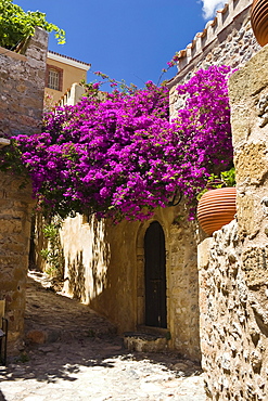 Lane with flowers, Monemvasia, Lakonia, Peloponnese, Greece