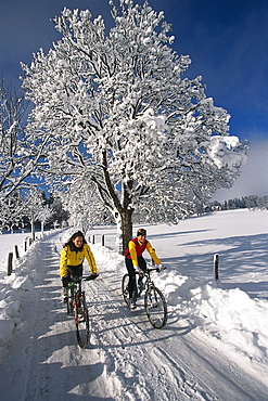 Two women riding bicycles on snow covered road, Ramsau, Styria, Austria, Europe