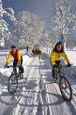 Two women riding bicycles on snow covered road, Ramsau, Styria, Austria, Europe