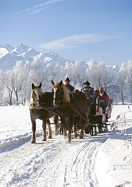 Sleigh on snow covered road in the sunlight