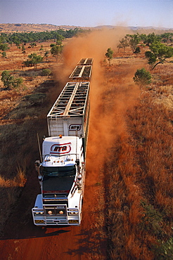 Road train in the desert, Cattle transport, dirt road of Kimberleys, Kimberley, Western Australia, Australia