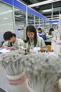 High-Tech, switch production, women worker, technician