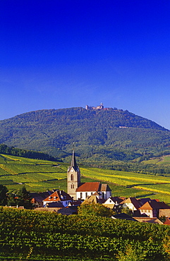 View over Rodern to Haut-Koenigsbourg, Elsass, France00058492