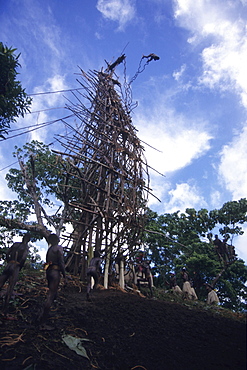 Pentecost Landdiving Ceremony, Pentecost, Vanuatu