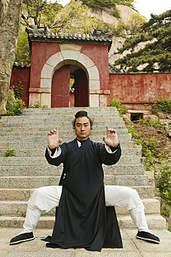 Taoist monk Zhang Qingren demonstrating Tai Chi, Hou Shi Wu Temple, Mount Tai, Tai Shan, Shandong province, World Heritage, UNESCO, China