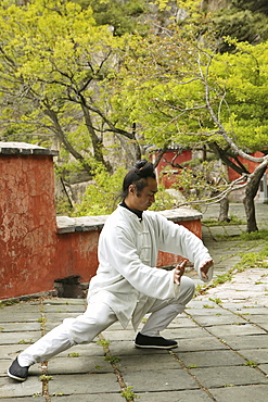 Taoist monk in Tai Chi pose, Tai Shan, Shandong province, Taishan, Mount Tai, World Heritage, UNESCO, China, Asia