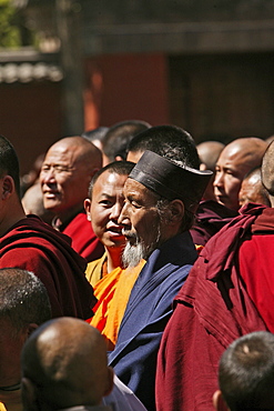 Daoist monk celebrating with buddhists, Taihuai, Wutai Shan, Five Terrace Mountain, Buddhist Centre, town of Taihuai, Shanxi province, China, Asia