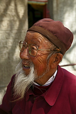 Elderly bearded monk with glasses, Taihuai, Mount Wutai, Wutai Shan, Five Terrace Mountain, Buddhist Centre, town of Taihuai, Shanxi province, China