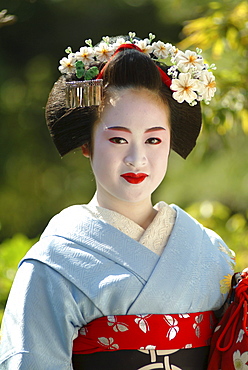 Portrait of a Geisha in Training, Maiko Masayo, Kyoto, Japan