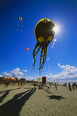 Seventh internal Kitefestival, Norderney, East Frisia, Germany