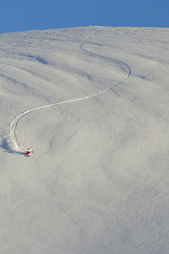 Man, Skiing, Powderturn, Downhill, Falkertsee, Carinthia, Austria