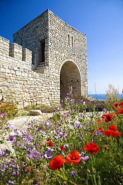 Flowers and castle in the sunlight, Cape Kaliakra, Black Sea, Bulgaria, Europe