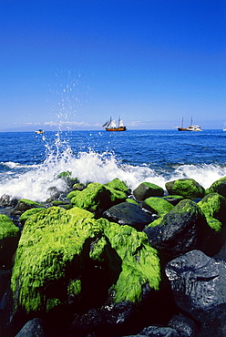 Excursion boats, Playa de Masca, coast of Masca canyon, Tenerife, Canary Islands, Atlantic Ocean, Spain