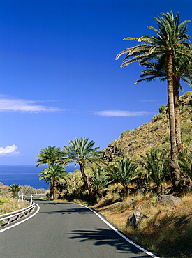 Road near Agaete, Gran Canaria, Canary Islands, Spain