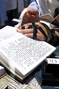 Close up of hands, man praying holding Torah, Wailing Wall, Jersualem, Israel