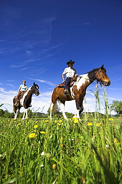 zwei personen reiten durch blumenwiese