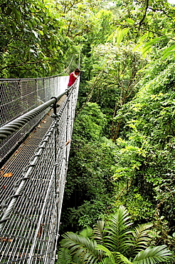 Woman crossing hanging bridge in Rainforest, Arenal Hanging Bridges, Costa Rica, Central America