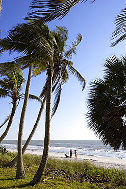 Beach in Naples, Florida, USA