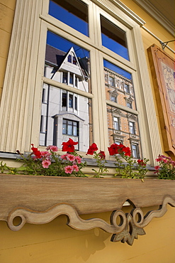 Reflection in Gertrudes Str