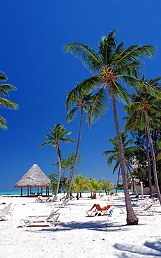 Sandy beach, Punta Cana, Caribbean, Dominican Republic