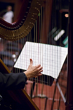 Orchestra, Prinzregententheater, Munich, Bavaria, Germany