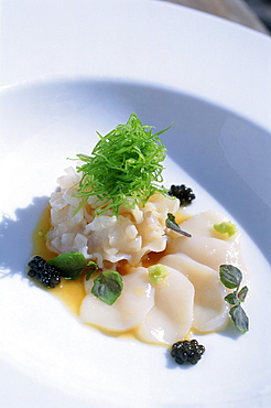 Live Geoduck with Yuzu and Baby Red Shiso, Hotel Setai, South Beach, Miami, Florida, USA