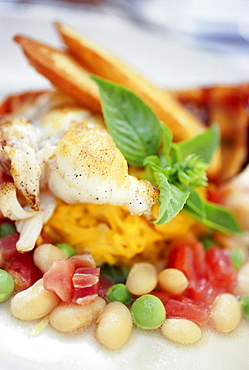 Florida Spiny Lobster tail with saffron linguini tomatoes basil white beans english peas prosciutto and roasted garlic crostini, Restaurant Mark's South Beach, South Beach, Miami, Florida, USA