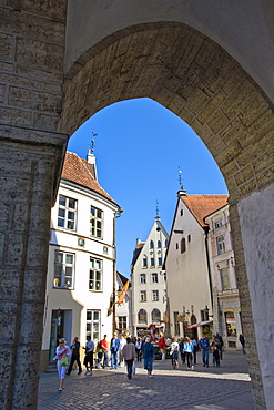 Arcade at Town Hall Square, Tallinn, Estonia, Europe