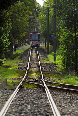 A train track running through the forest, Gotha Waldbahn, Tabarz, Thuringia, Germany