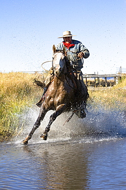 Cowboy riding in water, wildwest, Oregon, USA