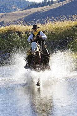 Cowboy riding in water, wildwest, Oregon, USA