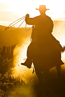 cowboy horseriding at sunset, Oregon, USA