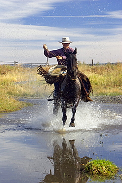 Cowboy riding in water, wildwest, Oregon, USA