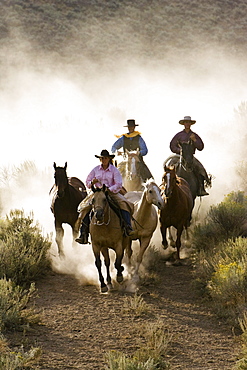 cowboys riding, Oregon, USA