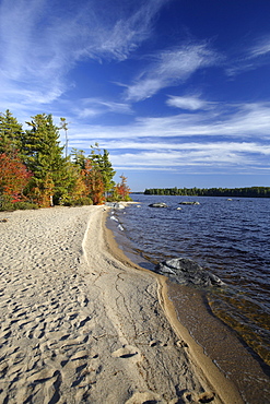 A beach at Lake Millinocket in autumn, Maine, USA