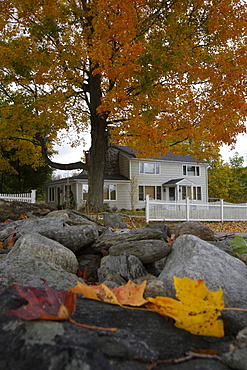 Street in New Preston in Autumn, New Preston, Connecticut, New England, United States of America, USA