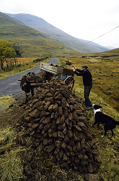 A farmer with a donkey cart peat cutting, Doo Lough Pass, County Mayo, Ireland, Europe