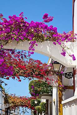 Houses with flowers, Puerto de Mogan, Gran Canaria, Canary Islands, Spain, Europe