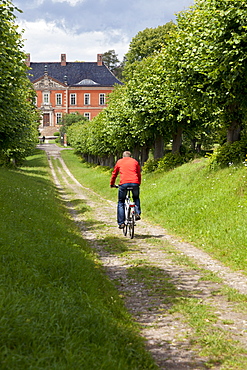 Cyclist on his way to Bothmer Castle, Feston Alley, Bothmer Castle, biggest Baroque Style castle in Mecklenburg, Kluetzer Winkel, backcountry, coast of the Baltic Sea, Kluetz, Mecklenburg-West Pomerania, Germany